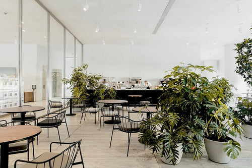 Restaurantes en museos CDMX / Eno, cafetería y lonchería en la planta baja de un museo fascinante
