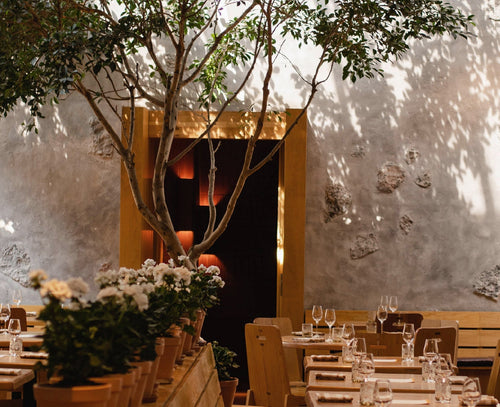 Restaurantes con Estrellas Michelin en México / Máximo, fascinante sitio con una cocina sustentable