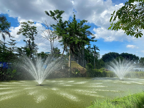Lugares que ya no existen / Cabaret La Fuente, espectáculo, cena y elegancia