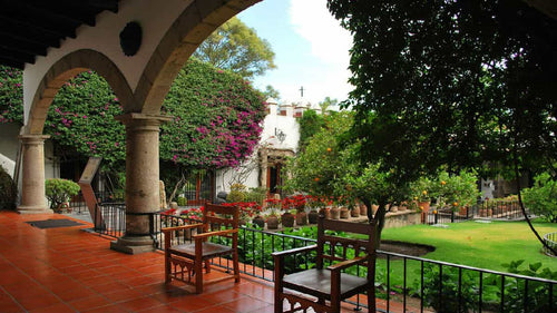 Restaurantes en museos CDMX / Cafetería Dolores Olmedo, antojitos mexicanos ataviados con cultura