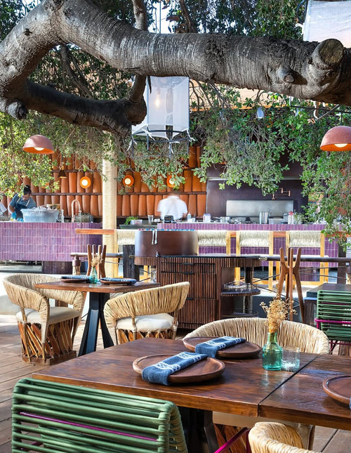 Restaurantes con Estrellas Michelin en México/Animalón, cocina mexicana contemporánea bajo un encino de 200 años