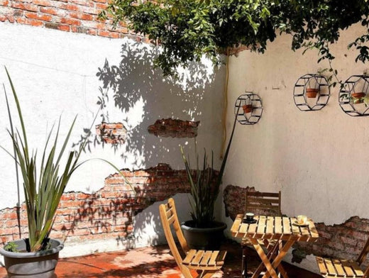 Cafeterías CDMX / Café-60 Arafura, comida todo el día en un centro cultural en Popotla