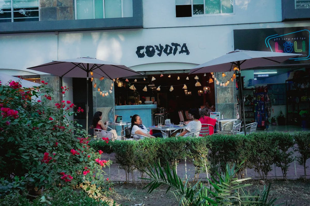 Restaurantes inusuales CDMX / Coyota, excéntrica y muy mexicana