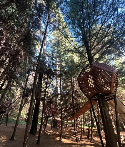 Lugares cerca de CDMX al aire libre, Desierto Norte, para gozar de un picnic profesional en medio del bosque