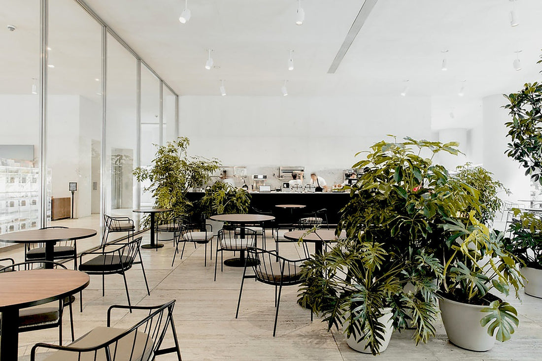 Restaurantes en museos CDMX / Eno, cafetería y lonchería en la planta baja de un museo fascinante