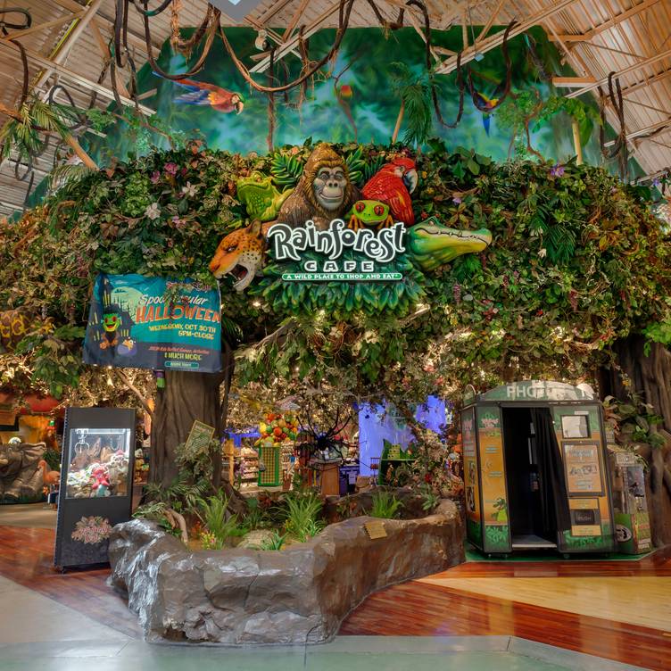 Restaurantes que ya no existen / Rainforest Cafe, la selva dentro de la gran ciudad.