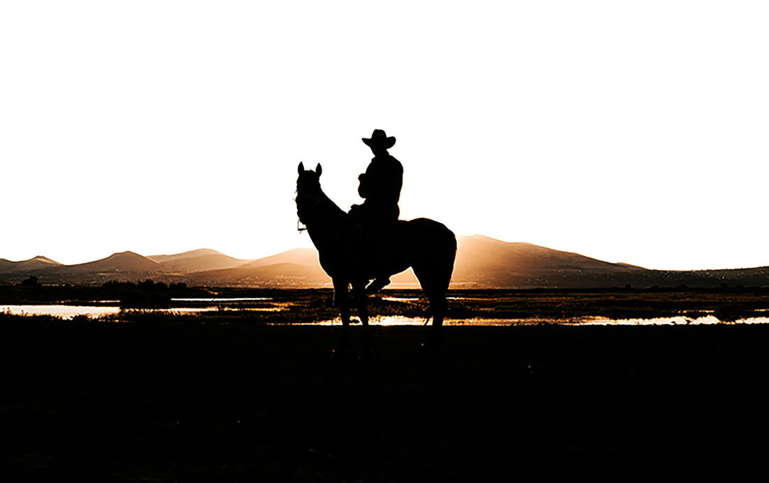 Lugares de telenovelas / El rodeo de media noche en Huinalá, Apodaca