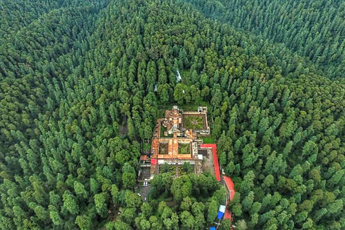 Restaurantes en museos CDMX/ Restaurante de los Monjes, nirvana en el Desierto de los Leones